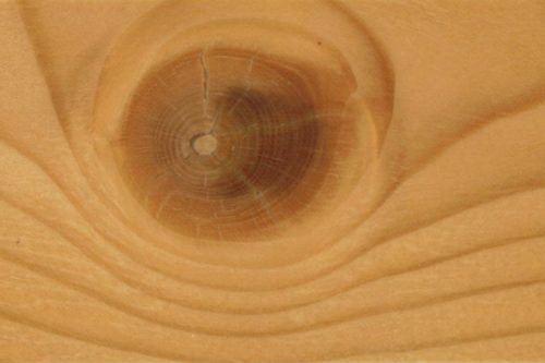 COMPLEX POSITIV-UNIVERSAL-BEIZE - 25 Liter Kanister - Fichte Bernstein